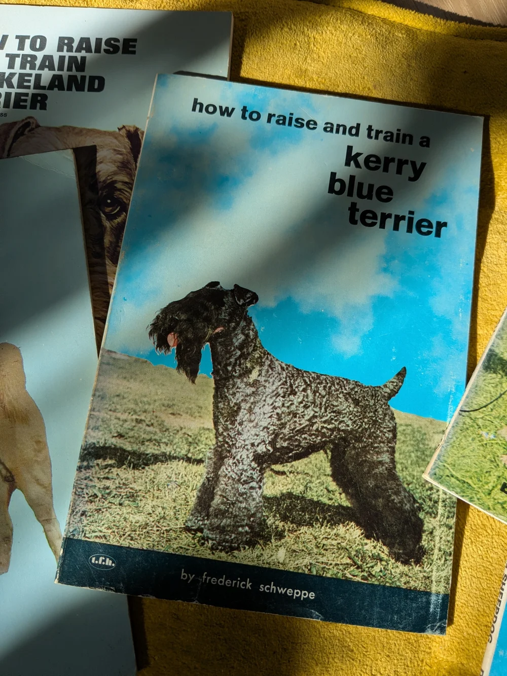 Vintage 'How to Raise and Train' Dog Breed Book Set